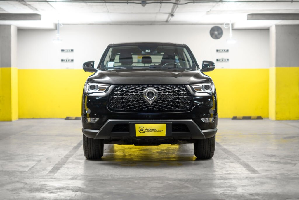 Great Wall Poer 2.0 2024